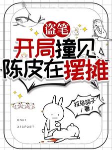 盗笔从老九门开始的黑心莲