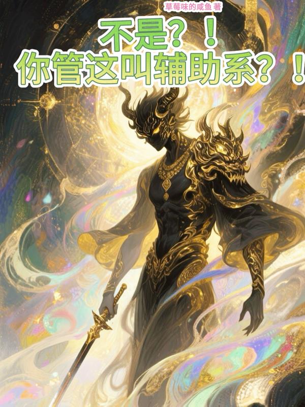 不是你管这叫辅助系